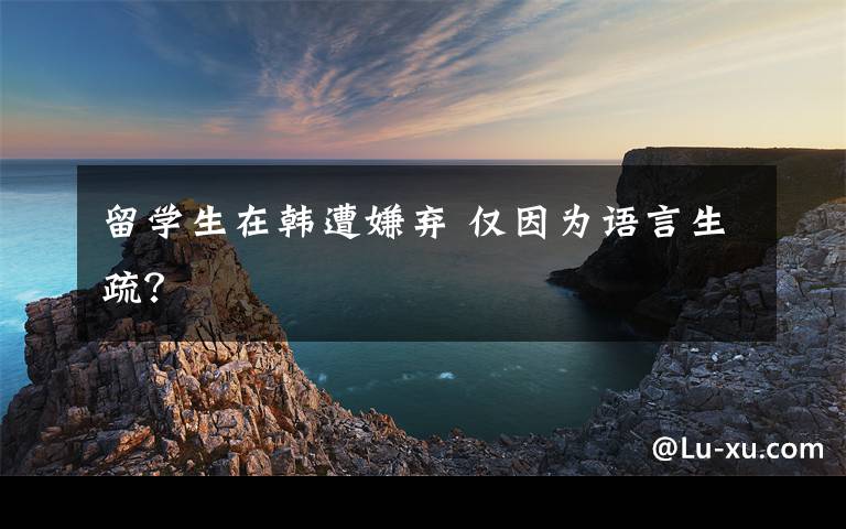 留学生在韩遭嫌弃 仅因为语言生疏？