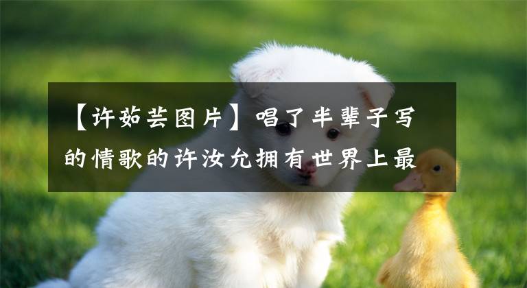 【许茹芸图片】唱了半辈子写的情歌的许汝允拥有世界上最美的爱情