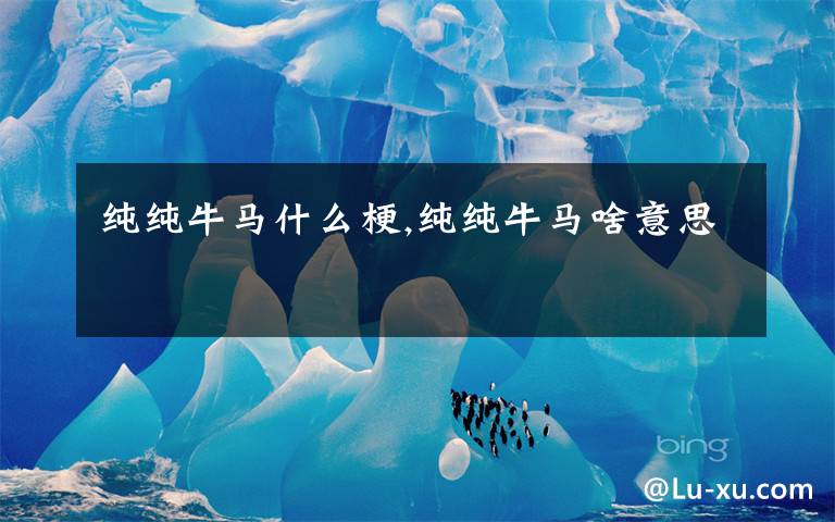 纯纯牛马什么梗,纯纯牛马啥意思