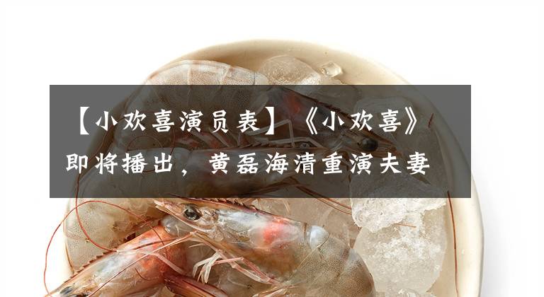 【小欢喜演员表】《小欢喜》即将播出，黄磊海清重演夫妻，男人和周治九龄很般配