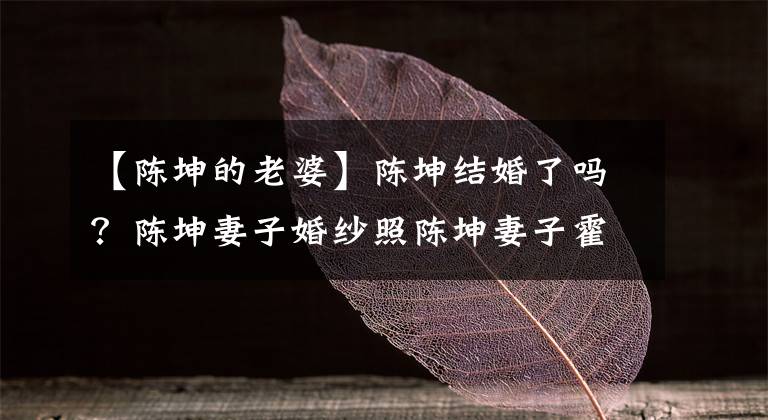 【陈坤的老婆】陈坤结婚了吗？陈坤妻子婚纱照陈坤妻子霍林资料