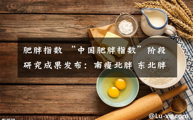 肥胖指数 “中国肥胖指数”阶段研究成果发布：南瘦北胖 东北胖子最多