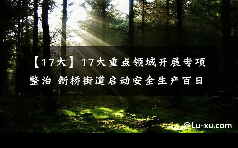 【17大】17大重点领域开展专项整治 新桥街道启动安全生产百日攻坚行动