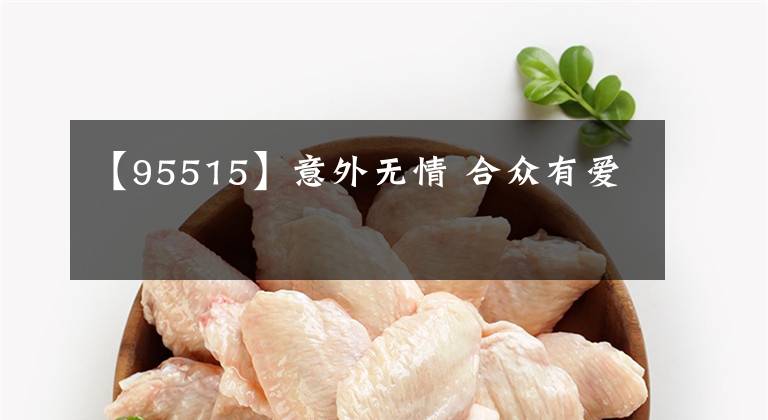 【95515】意外无情 合众有爱