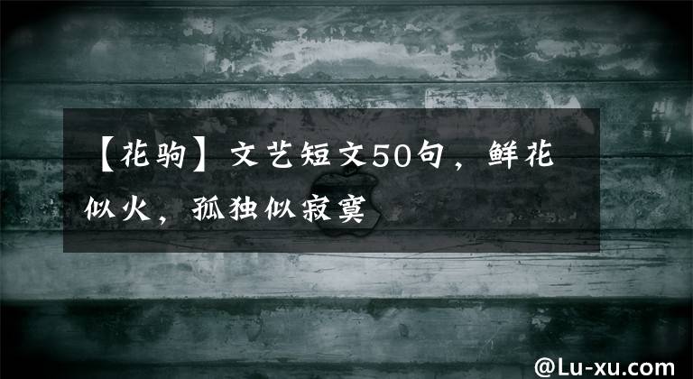 【花驹】文艺短文50句，鲜花似火，孤独似寂寞