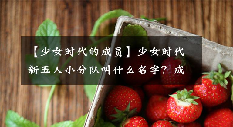 【少女时代的成员】少女时代新五人小分队叫什么名字？成员，允儿站C位。