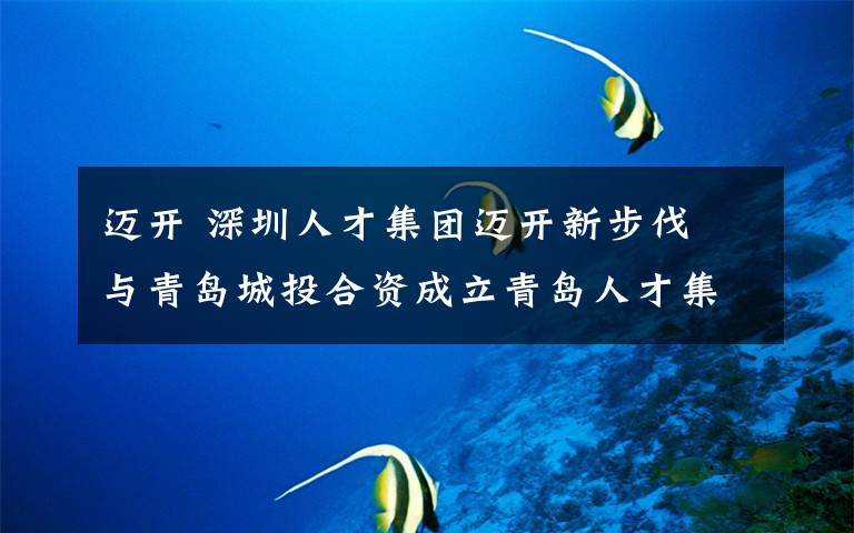 迈开 深圳人才集团迈开新步伐 与青岛城投合资成立青岛人才集团