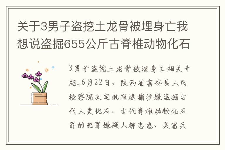 关于3男子盗挖土龙骨被埋身亡我想说盗掘655公斤古脊椎动物化石，府谷县检察院对刘忠惠、吴富兵、张利平批准逮捕