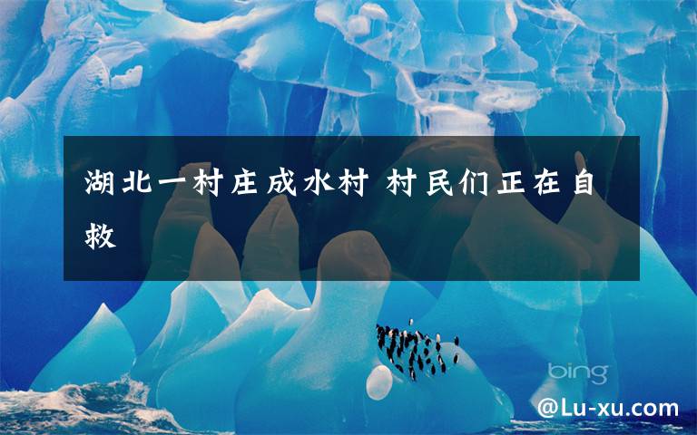 湖北一村庄成水村 村民们正在自救