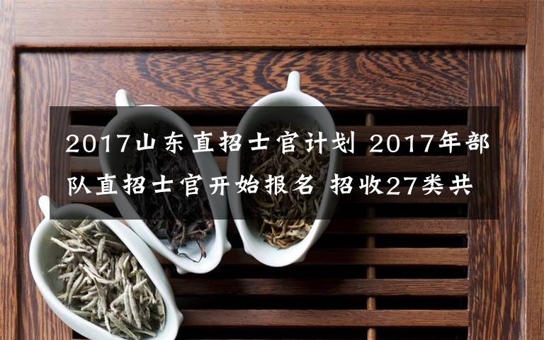 2017山东直招士官计划 2017年部队直招士官开始报名 招收27类共128个专业的高校毕业生