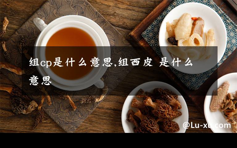 组cp是什么意思,组西皮 是什么意思