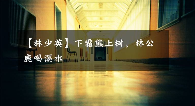 【林少英】下霜熊上树，林公鹿喝溪水