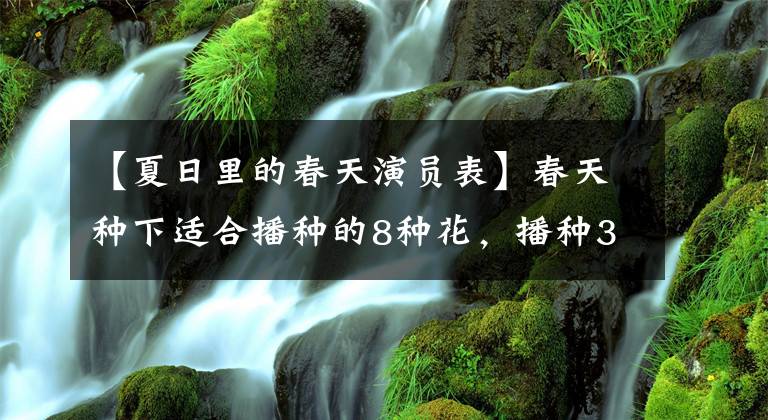 【夏日里的春天演员表】春天种下适合播种的8种花，播种3天后发芽，1个月后开花