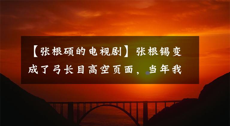 【张根硕的电视剧】张根锡变成了弓长目高空页面，当年我们追的男神们，你们还不错！