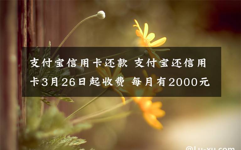 支付宝信用卡还款 支付宝还信用卡3月26日起收费 每月有2000元的免费还款额度
