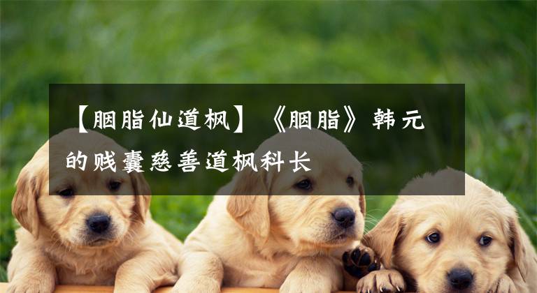 【胭脂仙道枫】《胭脂》韩元的贱囊慈善道枫科长