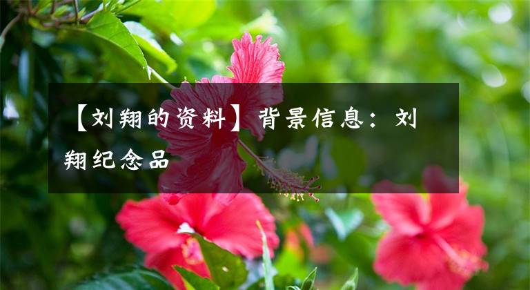 【刘翔的资料】背景信息：刘翔纪念品