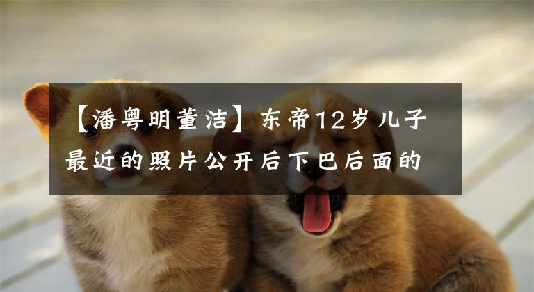 【潘粤明董洁】东帝12岁儿子最近的照片公开后下巴后面的视线变宽了，像爸爸半月明一样。