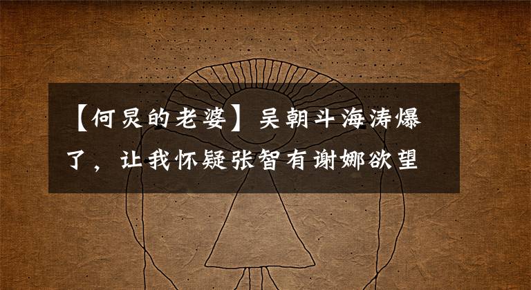 【何炅的老婆】吴朝斗海涛爆了，让我怀疑张智有谢娜欲望想制造许志昂正史。()