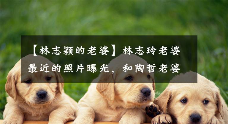 【林志颖的老婆】林志玲老婆最近的照片曝光，和陶哲老婆的框架一样，三个孩子的妈妈战胜了一个小三岁的孩子。