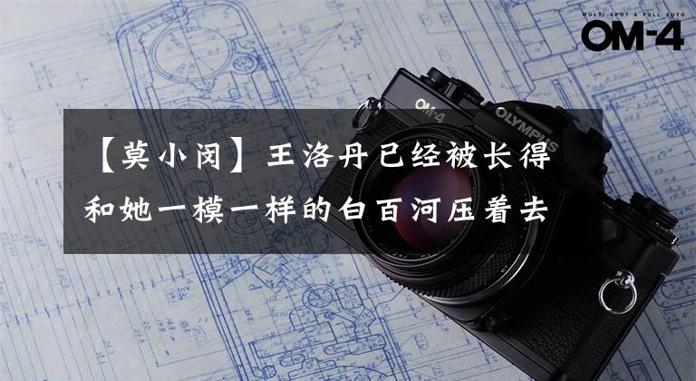【莫小闵】王洛丹已经被长得和她一模一样的白百河压着去三里屯卖歌了吗？