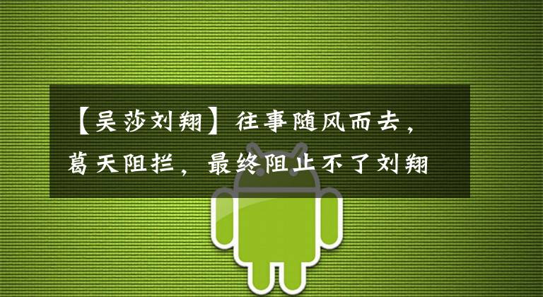 【吴莎刘翔】往事随风而去，葛天阻拦，最终阻止不了刘翔吴邪在一起。