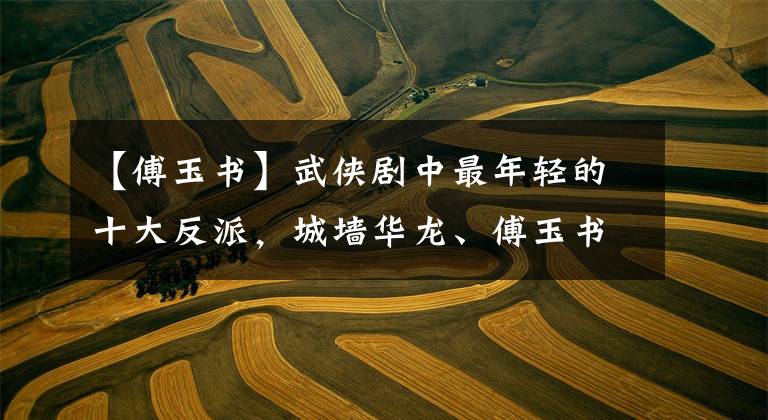 【傅玉书】武侠剧中最年轻的十大反派，城墙华龙、傅玉书逆袭为一种新药