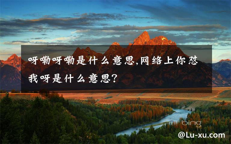 呀嘞呀嘞是什么意思,网络上你怼我呀是什么意思？