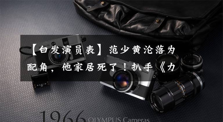 【白发演员表】范少黄沦落为配角，他家居死了！扒手《力王》 15大主演的生存现状