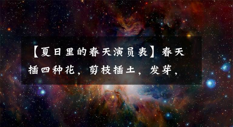 【夏日里的春天演员表】春天插四种花，剪枝插土，发芽，两个月开花