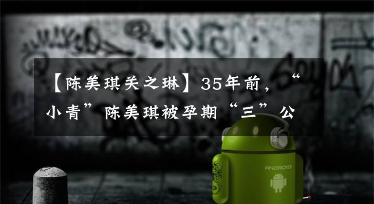 【陈美琪关之琳】35年前，“小青”陈美琪被孕期“三”公然挑衅关志林，导致流产不孕。