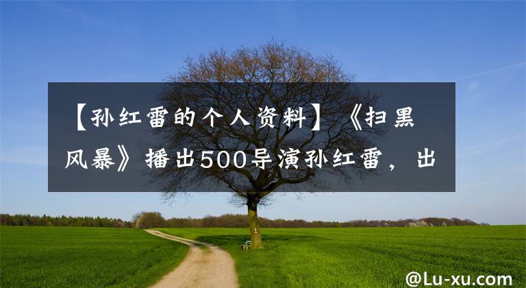 【孙红雷的个人资料】《扫黑风暴》播出500导演孙红雷，出演雷