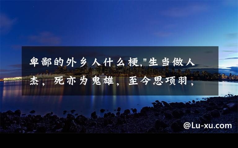 卑鄙的外乡人什么梗,