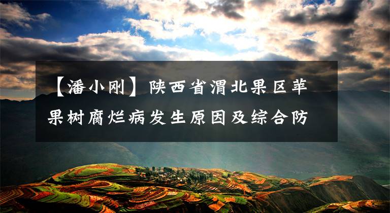 【潘小刚】陕西省渭北果区苹果树腐烂病发生原因及综合防治措施