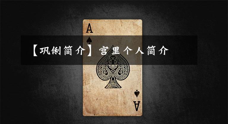 【巩俐简介】宫里个人简介