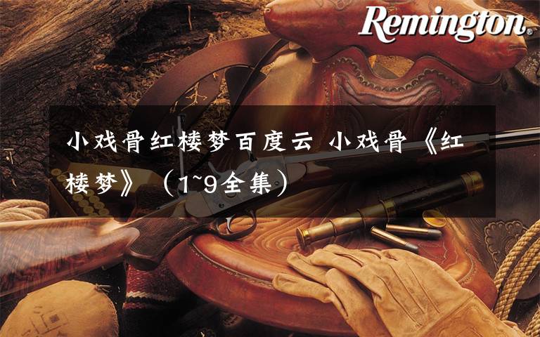 小戏骨红楼梦百度云 小戏骨《红楼梦》（1~9全集）