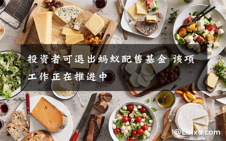 投资者可退出蚂蚁配售基金 该项工作正在推进中