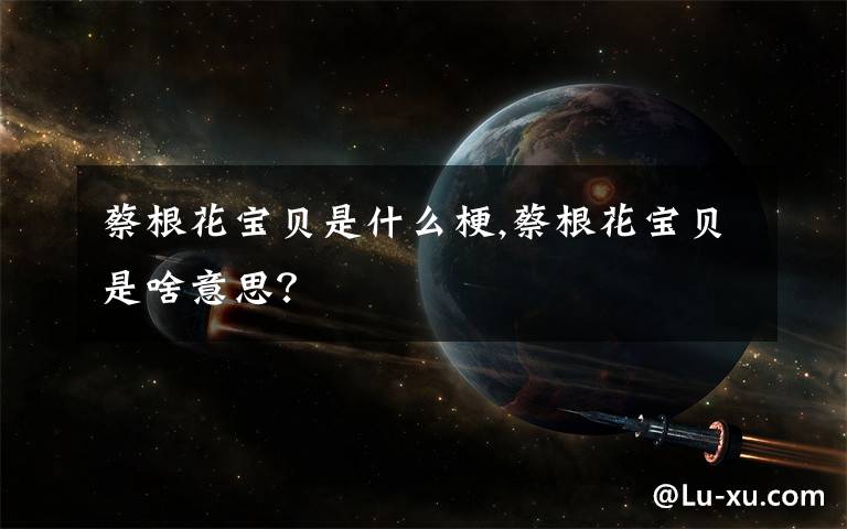 蔡根花宝贝是什么梗,蔡根花宝贝是啥意思？