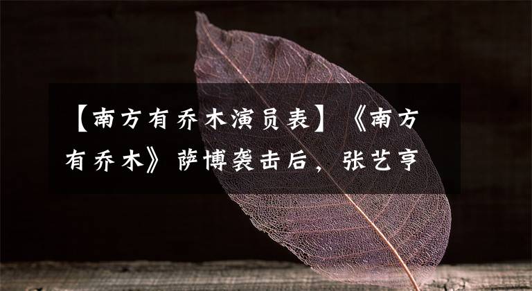 【南方有乔木演员表】《南方有乔木》萨博袭击后，张艺亨变身为“立即宠爱”