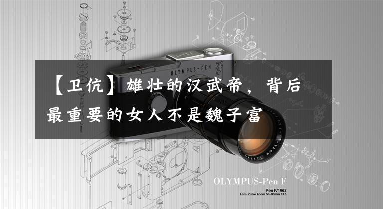 【卫伉】雄壮的汉武帝，背后最重要的女人不是魏子富