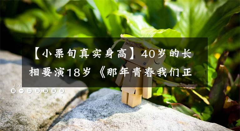 【小栗旬真实身高】40岁的长相要演18岁《那年青春我们正好》男2背景才强。