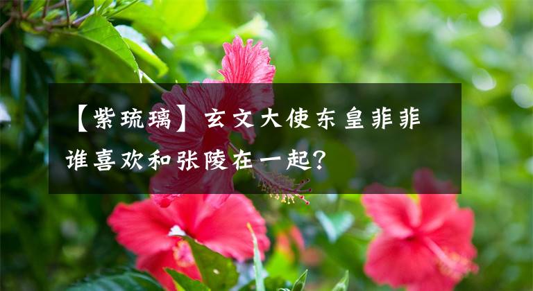 【紫琉璃】玄文大使东皇菲菲谁喜欢和张陵在一起？