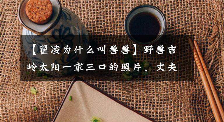 【翟凌为什么叫兽兽】野兽吉岭太阳一家三口的照片，丈夫帅气的孩子戴萌，现在她很幸福