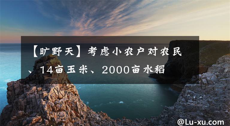 【旷野天】考虑小农户对农民、14亩玉米、2000亩水稻