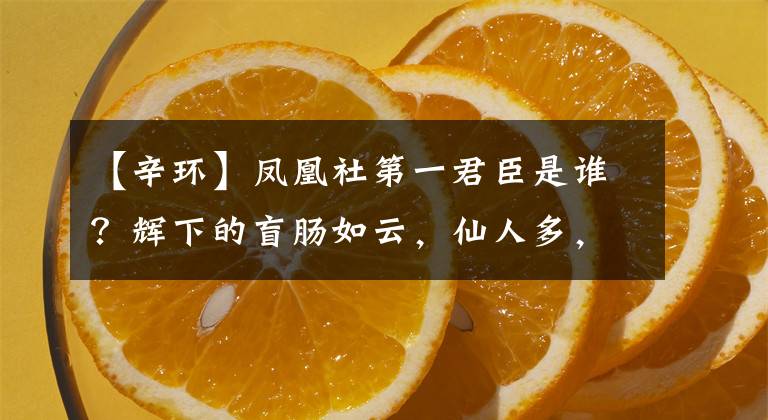 【辛环】凤凰社第一君臣是谁？辉下的盲肠如云，仙人多，为什么败给强者？