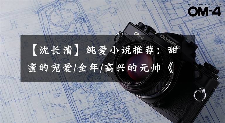【沈长清】纯爱小说推荐：甜蜜的宠爱/全年/高兴的元帅《你喜欢的样子我都有》