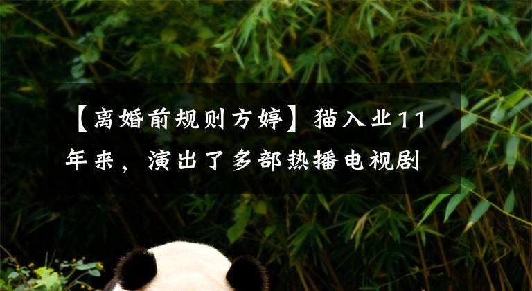 【离婚前规则方婷】猫入业11年来，演出了多部热播电视剧，但不温不火。2018年有望获得人气吗？