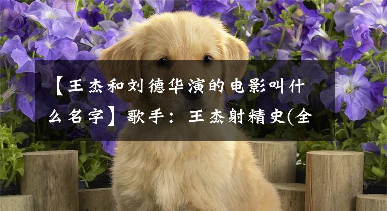 【王杰和刘德华演的电影叫什么名字】歌手：王杰射精史(全本)