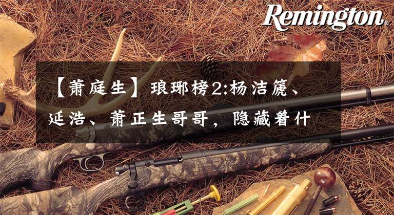 【萧庭生】琅琊榜2:杨洁篪、延浩、萧正生哥哥，隐藏着什么不寻常的深意？