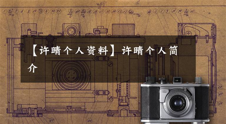 【许晴个人资料】许晴个人简介
